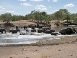 Western_Corridor2009-27